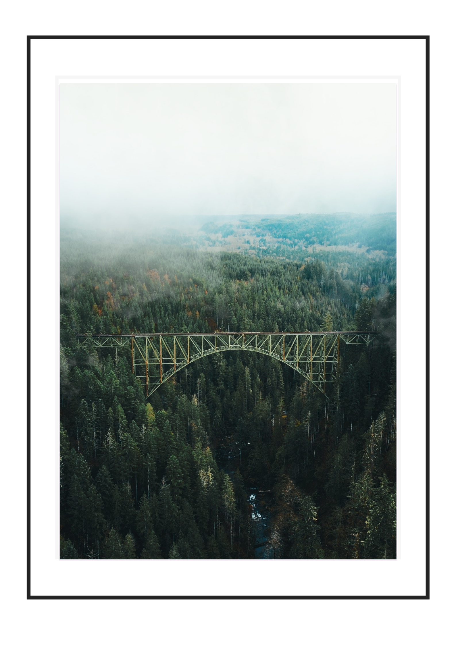 Bridge above the Trees