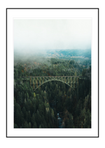 Bridge above the Trees
