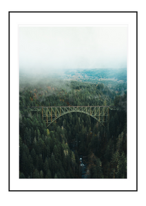 Bridge above the Trees
