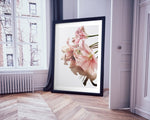 Pink Lilies

