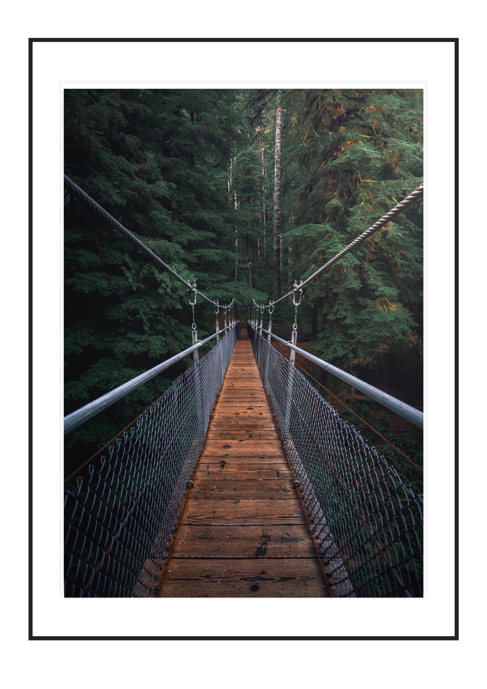 The Bridge