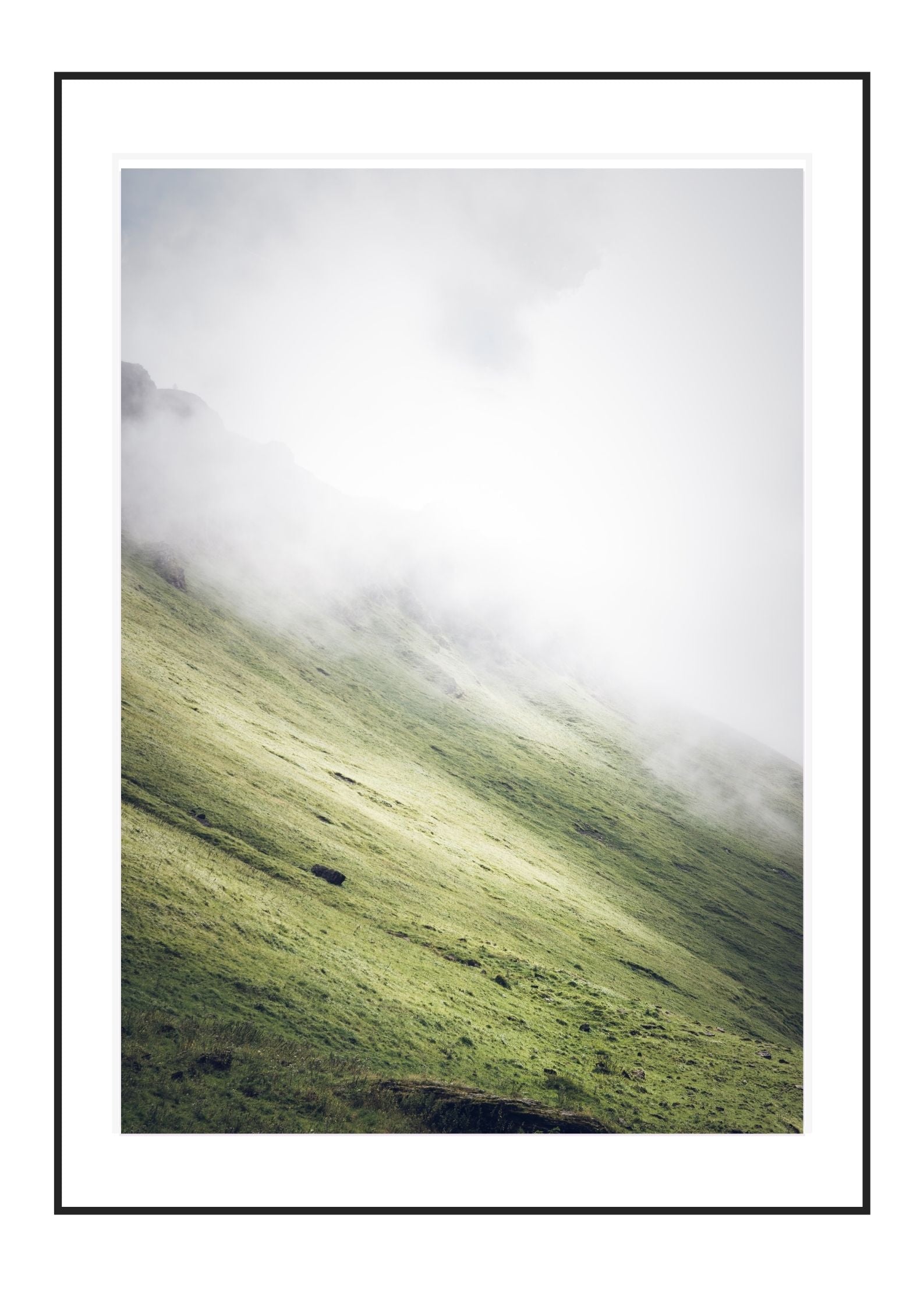 Into the Fog
