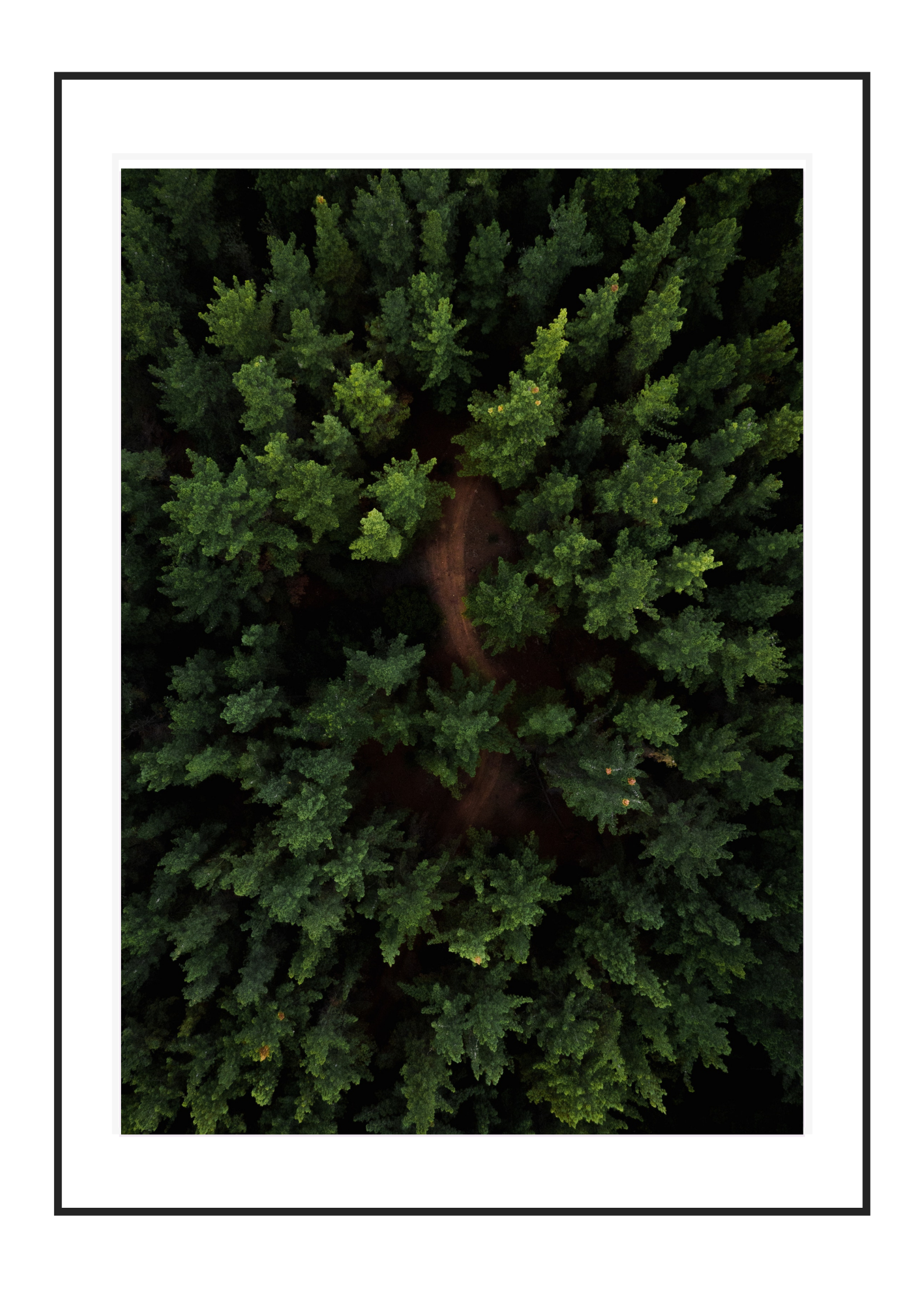 Above the trees