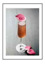 Pink Rose
