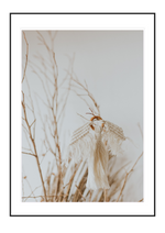 Twig and Tassel
