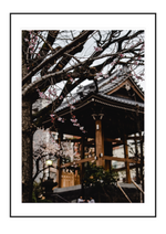 Winter Temple

