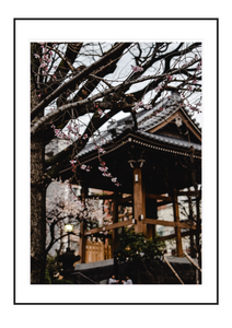 Winter Temple