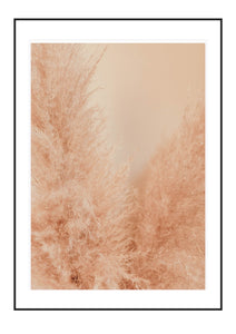 Pink Dreams