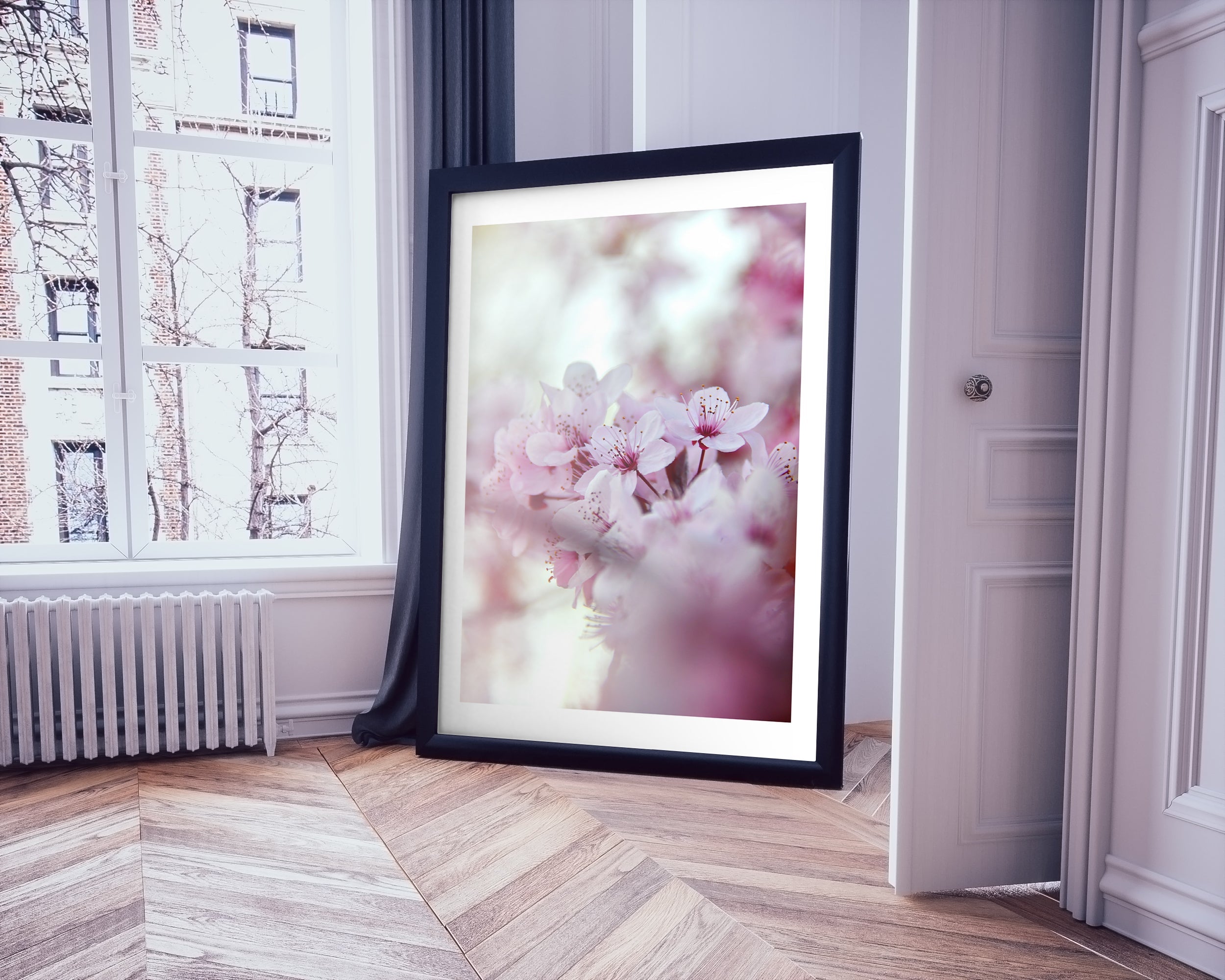 Cherry Blossoms
