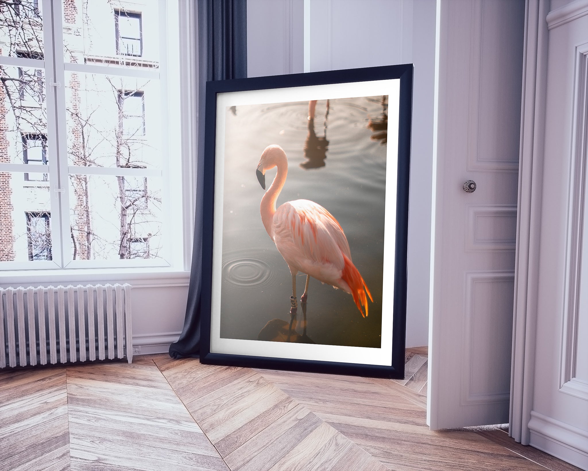 Flamingo Solo