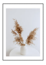 Mocha Feathers
