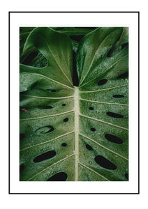 Butterfly leaf