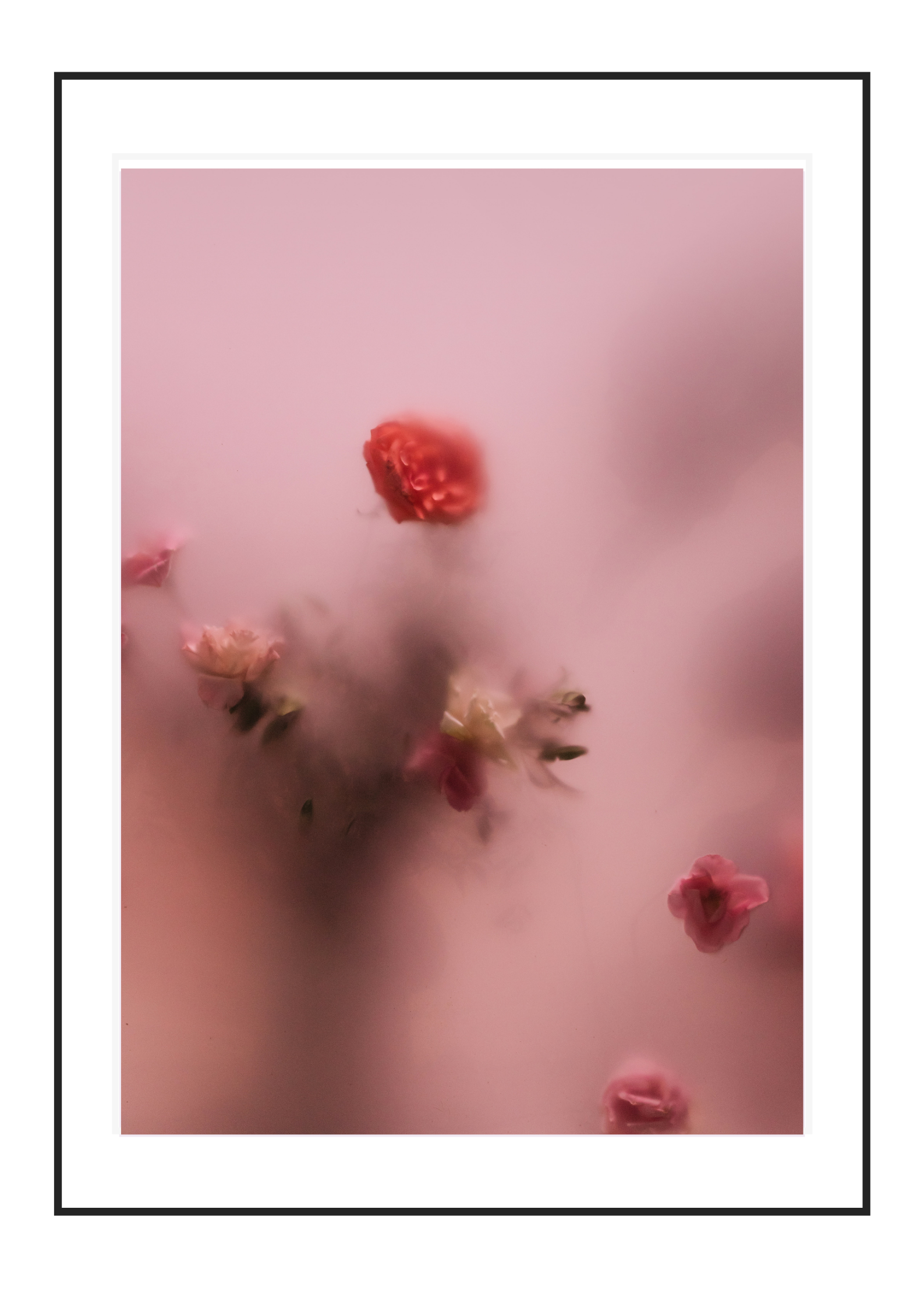 Abstract Bouquet