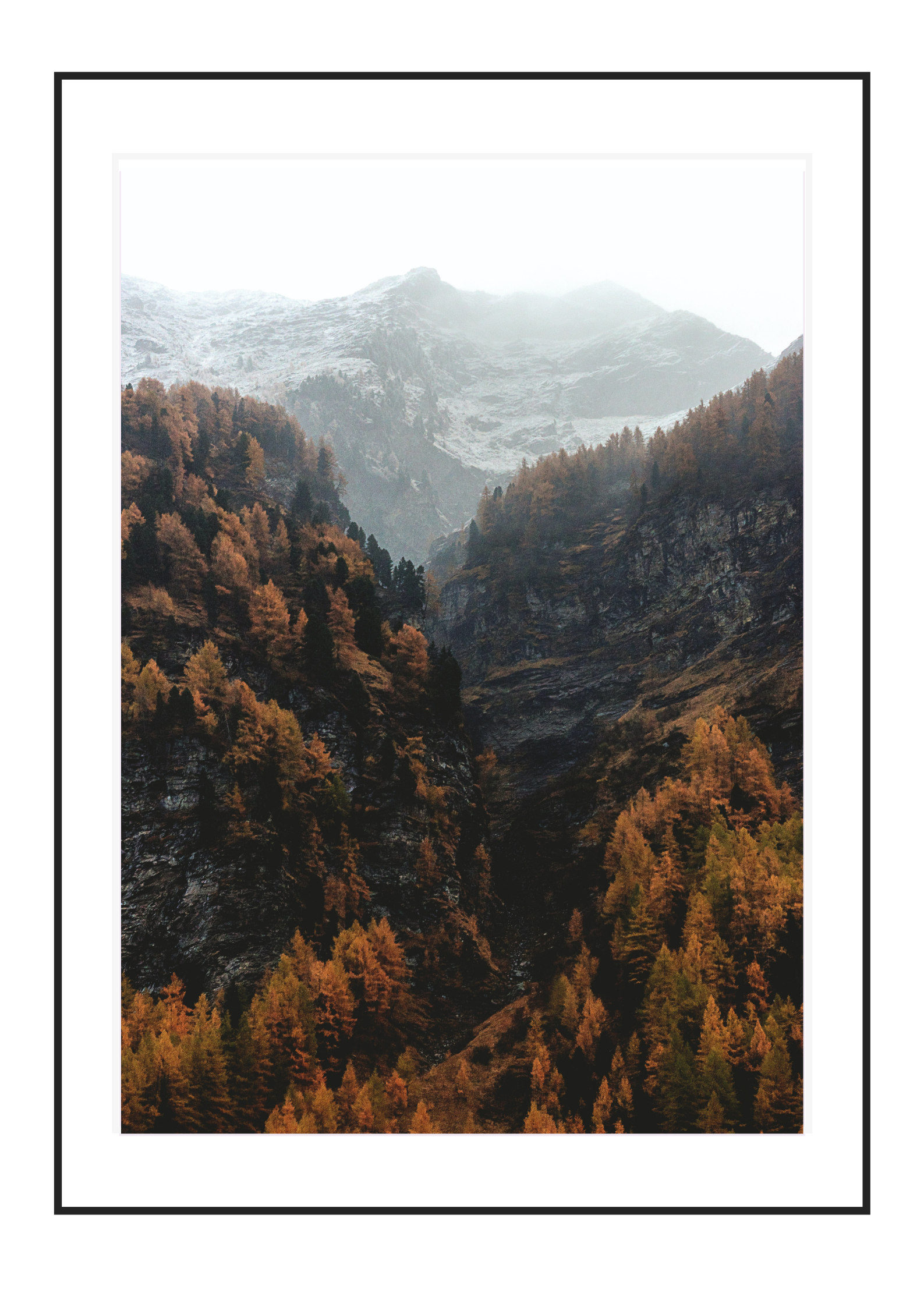 Hazel Pines