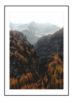 Hazel Pines
