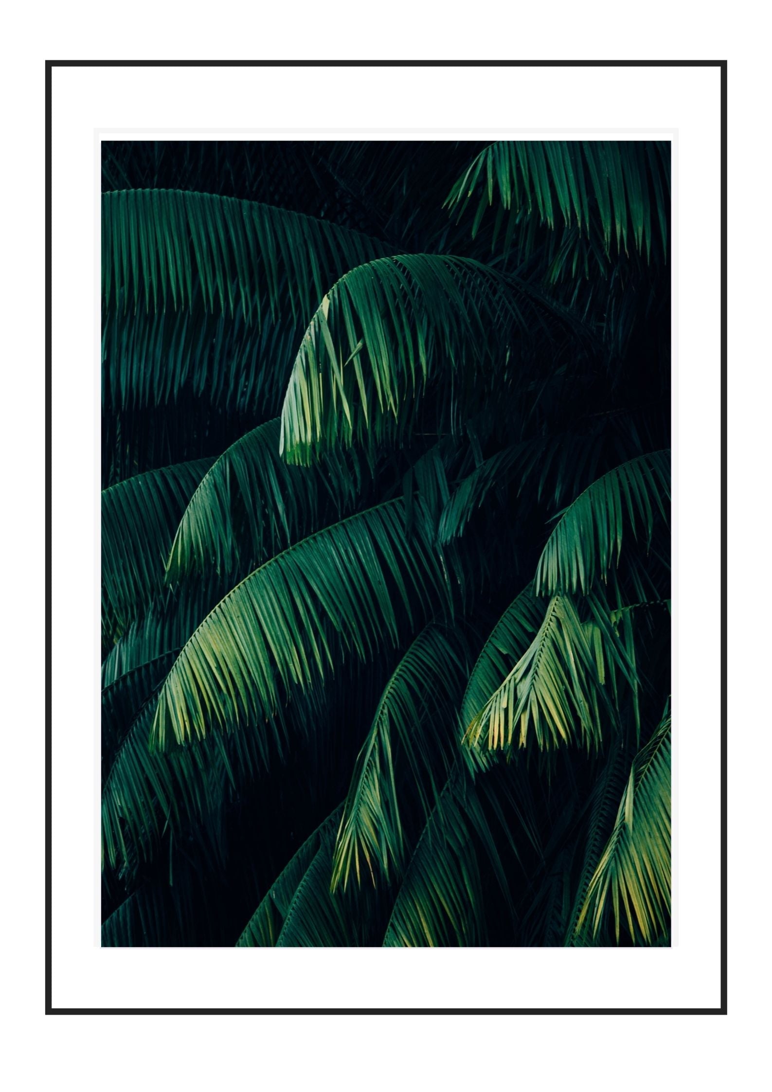 Green Drapes