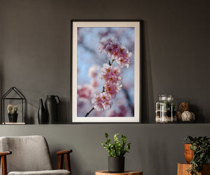 Almond Blossoms 2