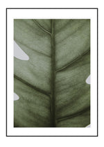 Leafy
