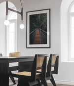 The Bridge
