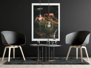 Flamingo duo