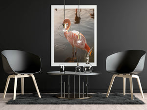 Flamingo Solo