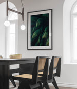 Green Drapes
