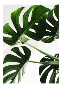 Green Beauty