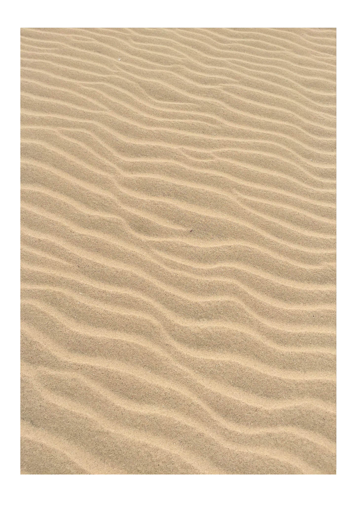Sand Lines