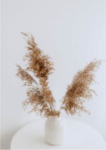 Mocha Feathers