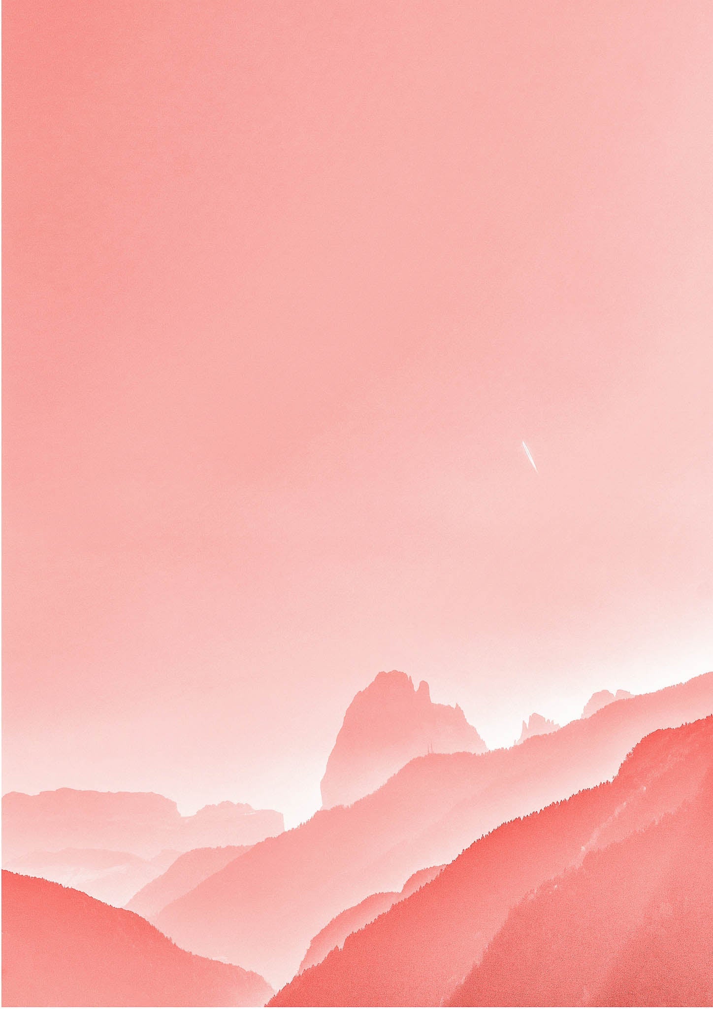 Pink Fields
