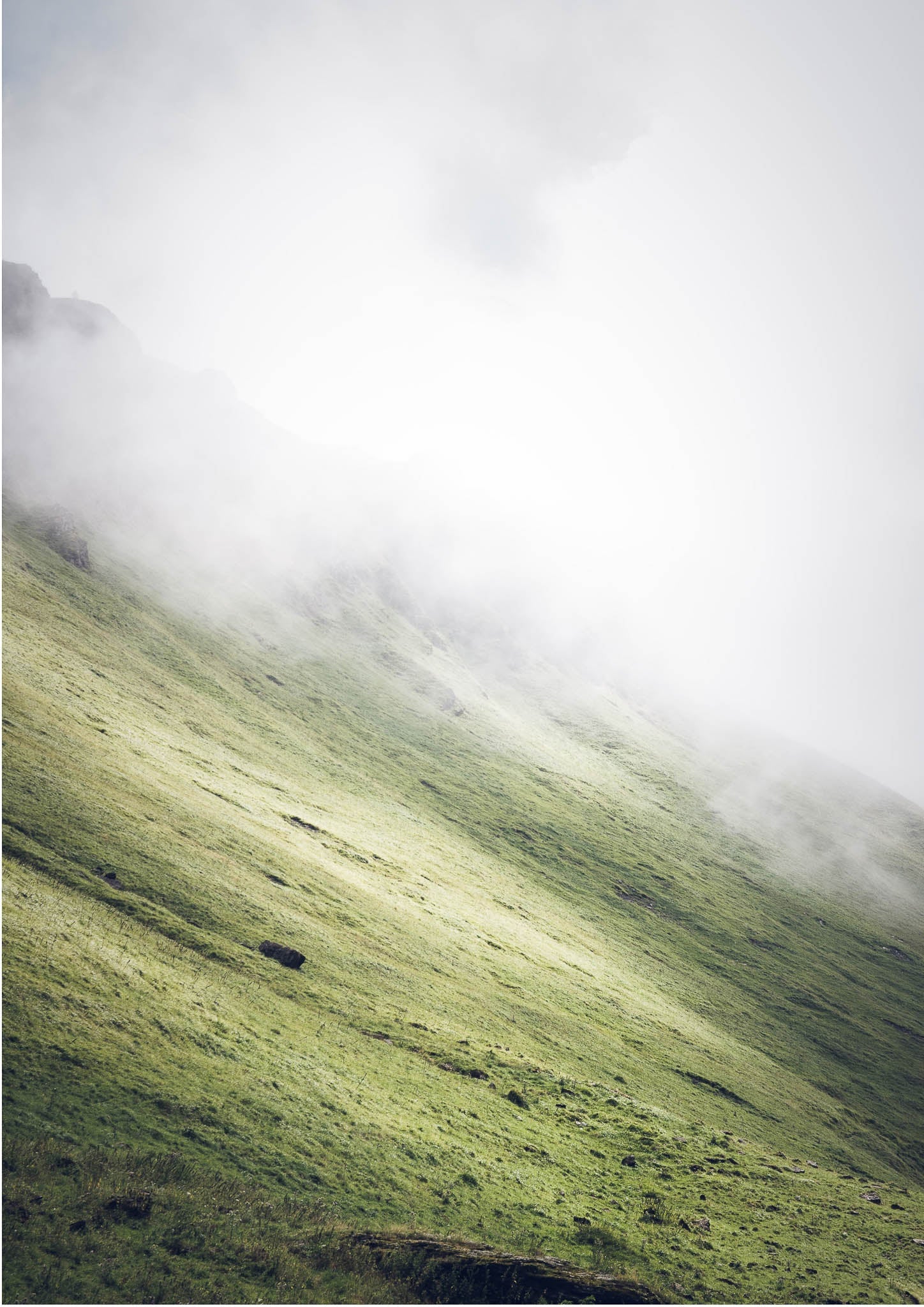 Into the Fog