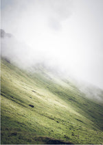 Into the Fog
