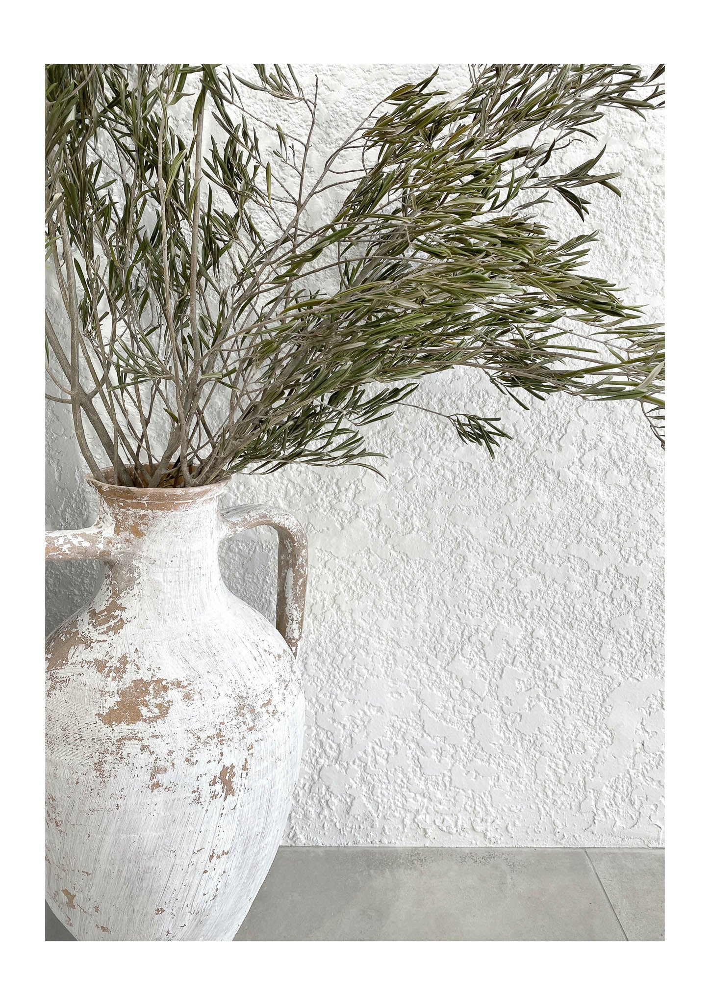 Rosmary Pitcher