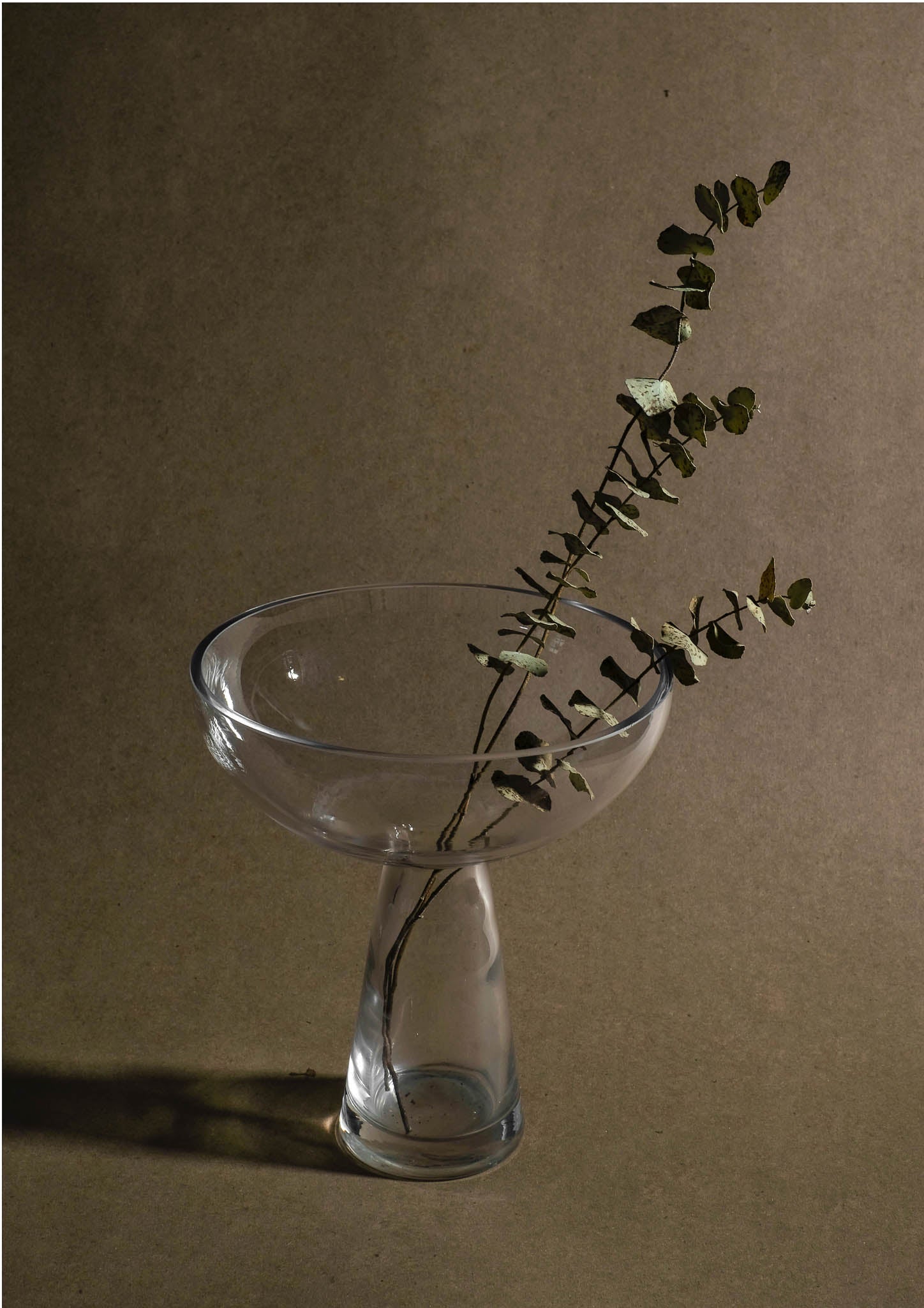 Sprigs in a Glass