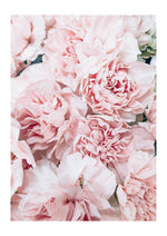 Smells like Spring! 1
