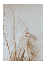 Twig and Tassel
