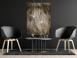 Feather grass