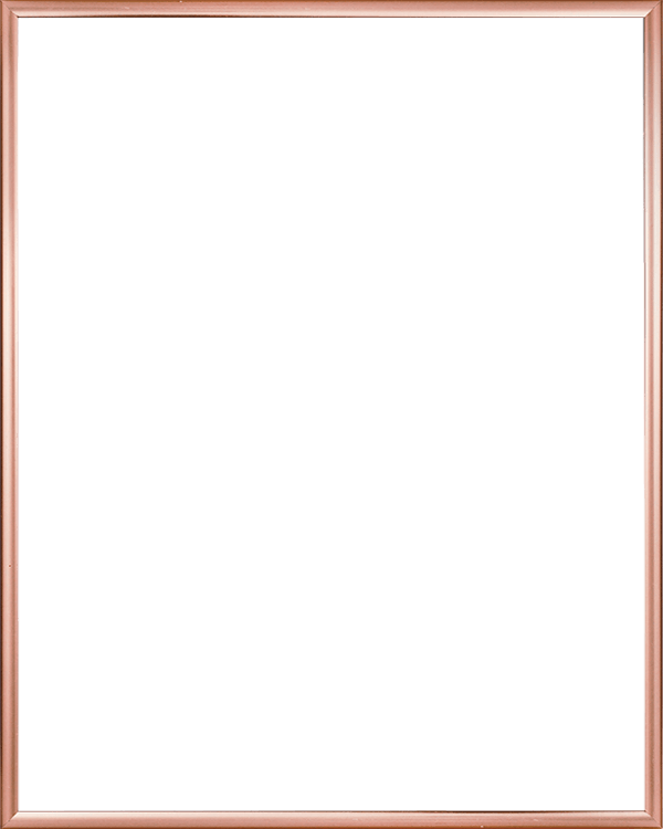 (+£24) Picture frame Gold, 40x50