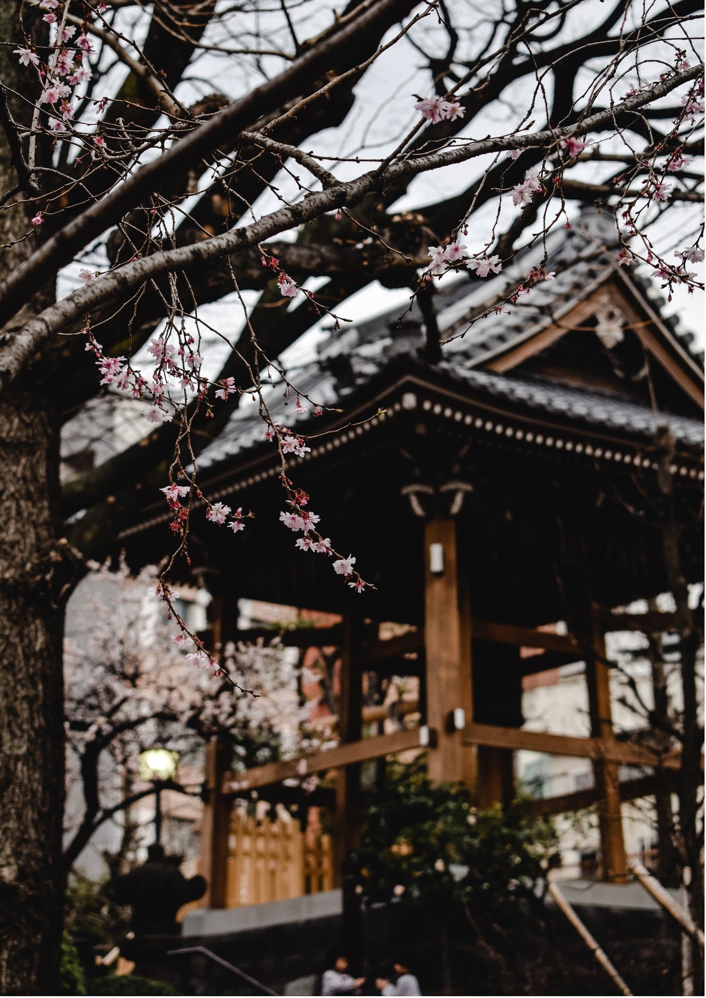 Winter Temple