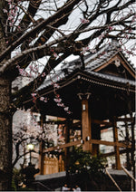 Winter Temple

