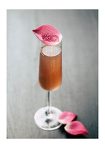 Pink Rose

