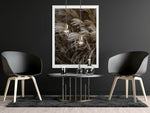 Dried Grass
