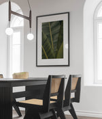 Banana leaves
