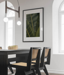 Banana leaves