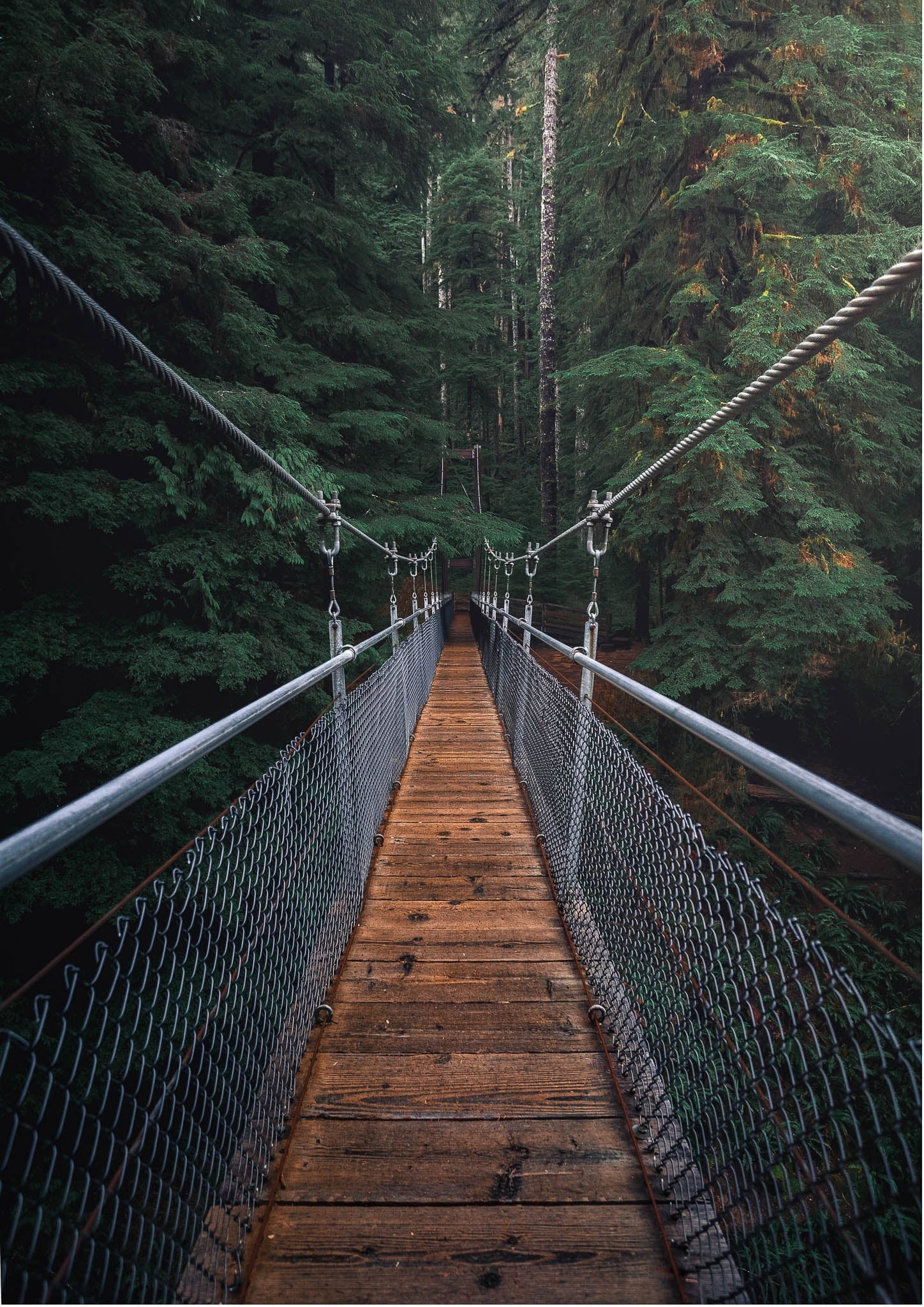 The Bridge