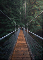 The Bridge
