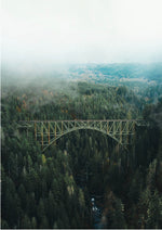 Bridge above the Trees
