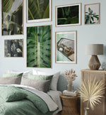 Banana leaves

