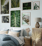 Tranquil Green
