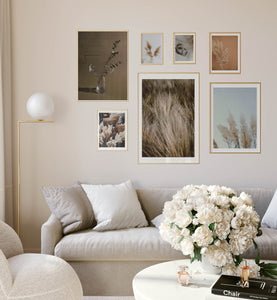 Mocha Feathers